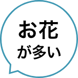 お花が多い